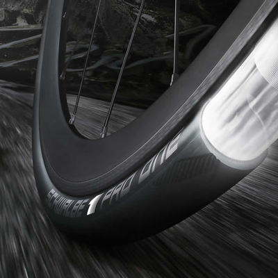 schwalbe_excitement